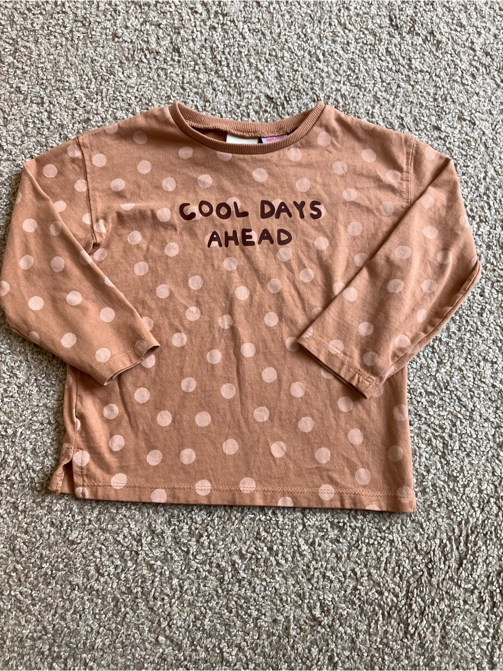 Zara Peach Polka Dot Long Sleeve Tee